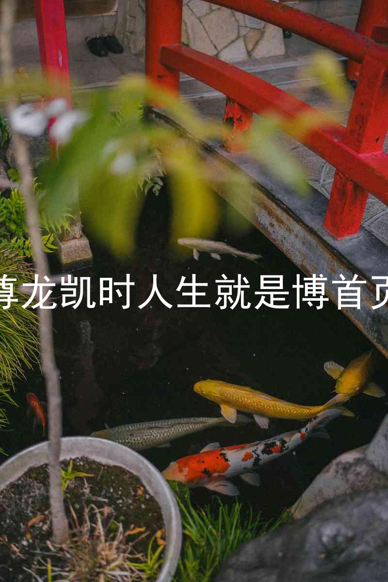 尊龙凯时人生就是博首页