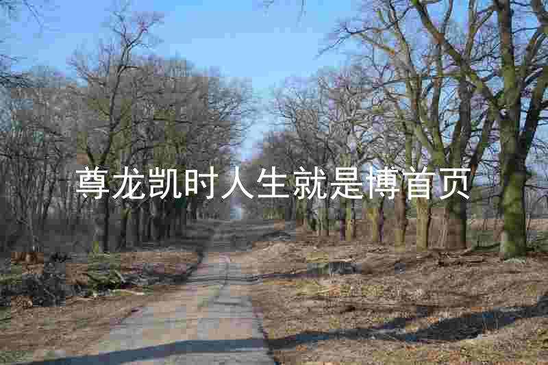 尊龙凯时人生就是博首页