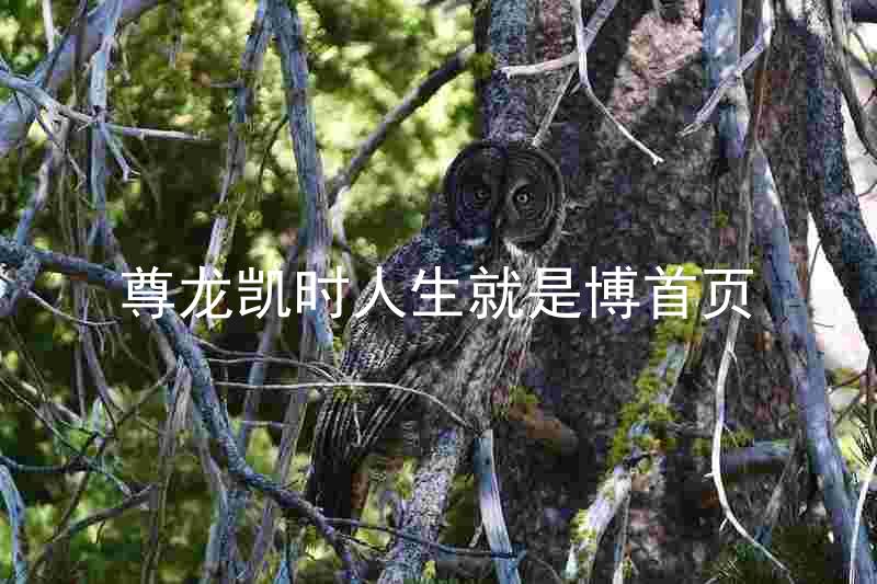 尊龙凯时人生就是博首页