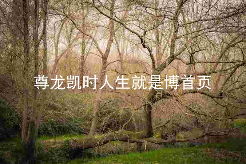 尊龙凯时人生就是博首页