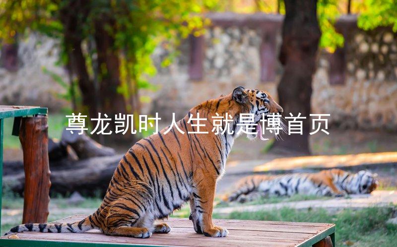 尊龙凯时人生就是博首页