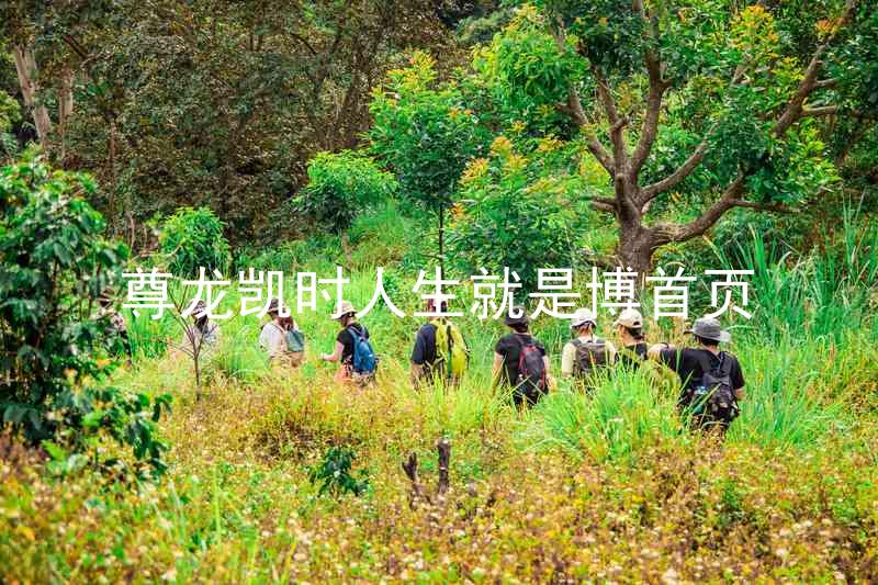 尊龙凯时人生就是博首页